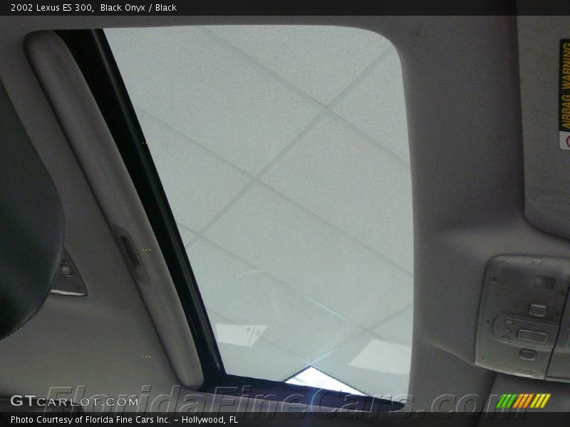 Black Onyx / Black 2002 Lexus ES 300