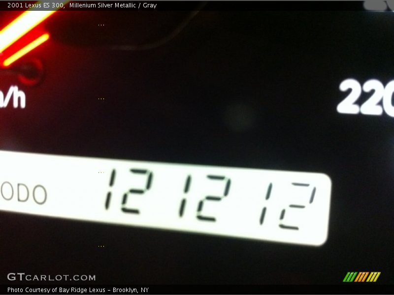 Millenium Silver Metallic / Gray 2001 Lexus ES 300