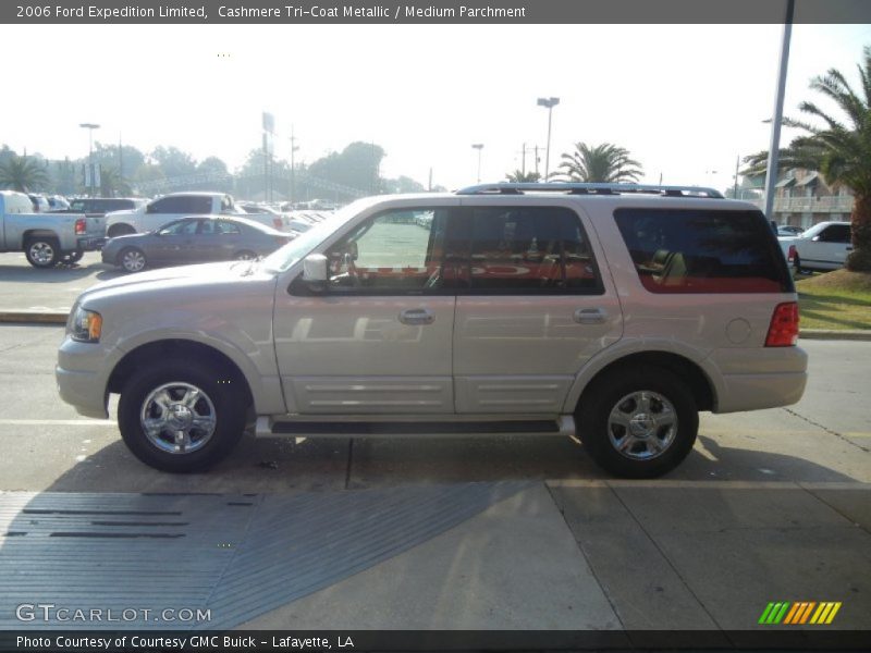 Cashmere Tri-Coat Metallic / Medium Parchment 2006 Ford Expedition Limited
