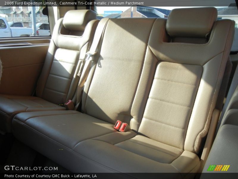 Cashmere Tri-Coat Metallic / Medium Parchment 2006 Ford Expedition Limited