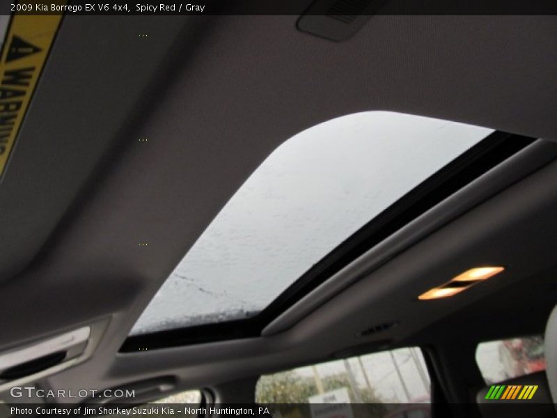 Spicy Red / Gray 2009 Kia Borrego EX V6 4x4