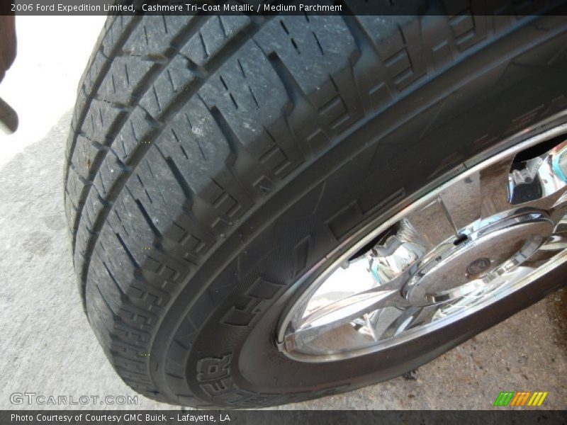 Cashmere Tri-Coat Metallic / Medium Parchment 2006 Ford Expedition Limited