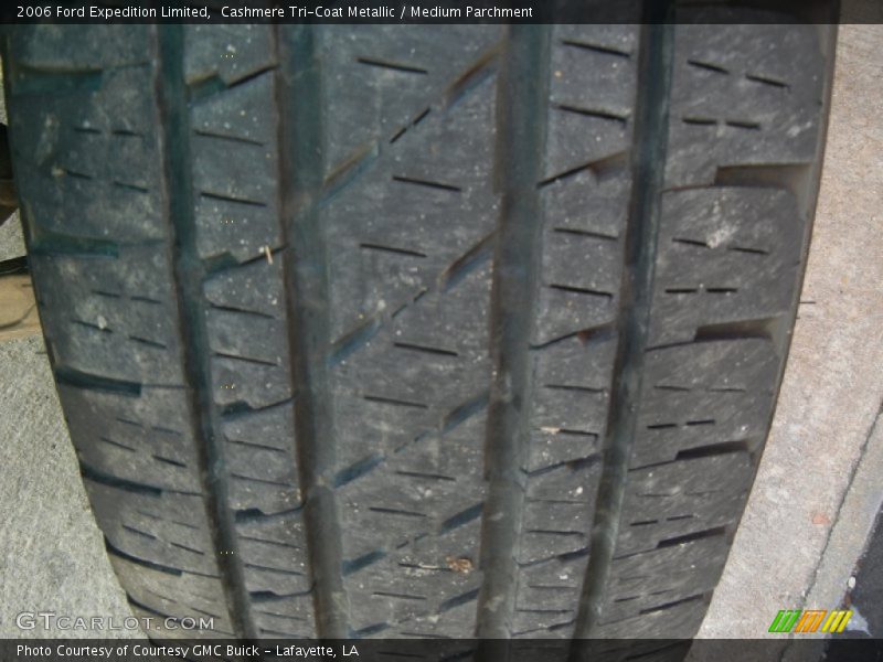 Cashmere Tri-Coat Metallic / Medium Parchment 2006 Ford Expedition Limited