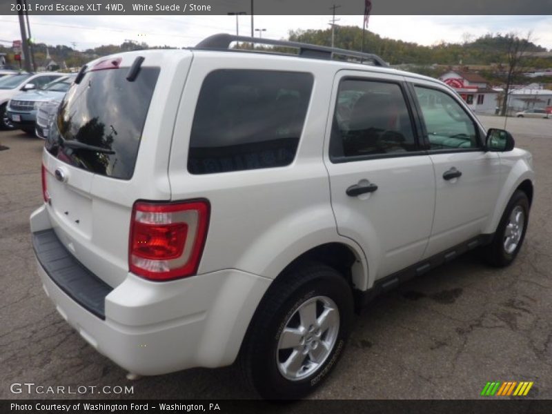 White Suede / Stone 2011 Ford Escape XLT 4WD