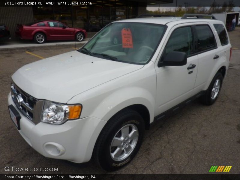 White Suede / Stone 2011 Ford Escape XLT 4WD