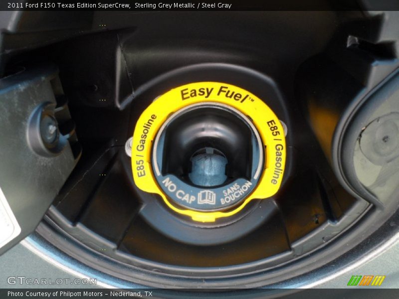 Sterling Grey Metallic / Steel Gray 2011 Ford F150 Texas Edition SuperCrew