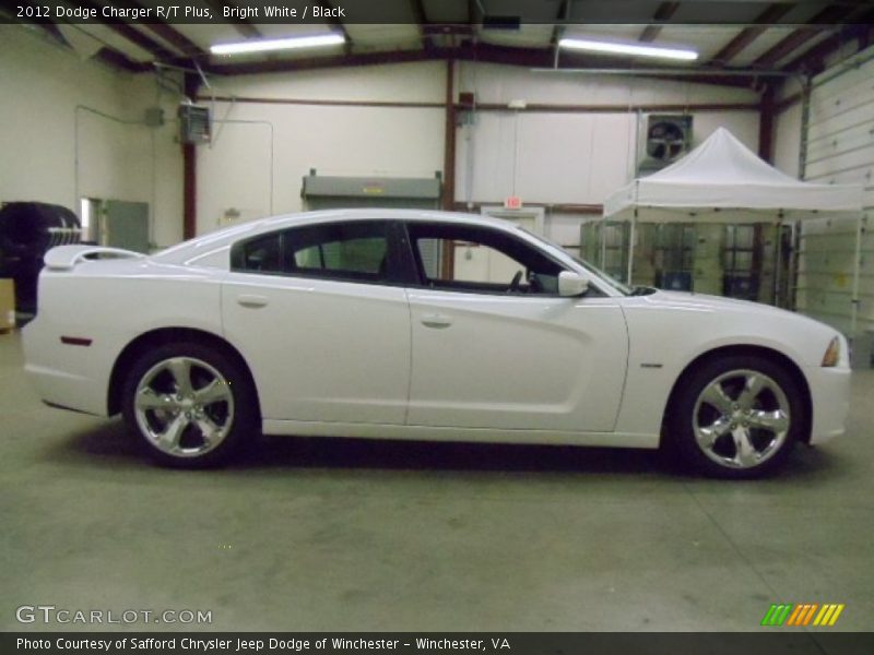 Bright White / Black 2012 Dodge Charger R/T Plus