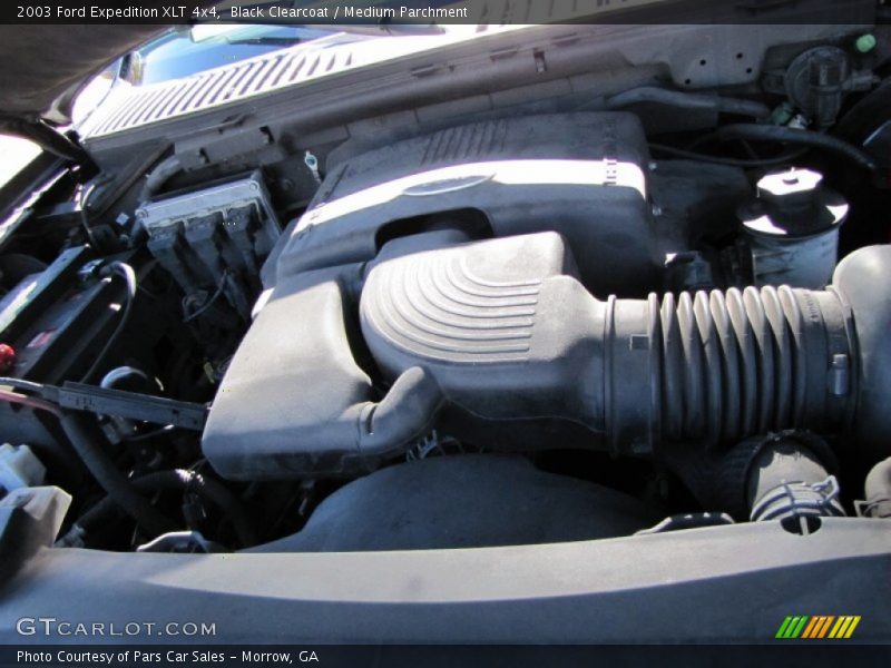 Black Clearcoat / Medium Parchment 2003 Ford Expedition XLT 4x4