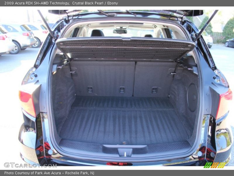 Crystal Black Pearl / Ebony 2009 Acura RDX SH-AWD Technology