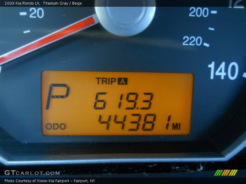 Titanium Gray / Beige 2009 Kia Rondo LX
