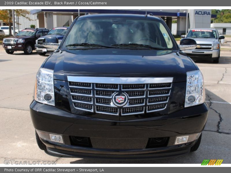 Black Raven / Cocoa/Cashmere 2009 Cadillac Escalade ESV