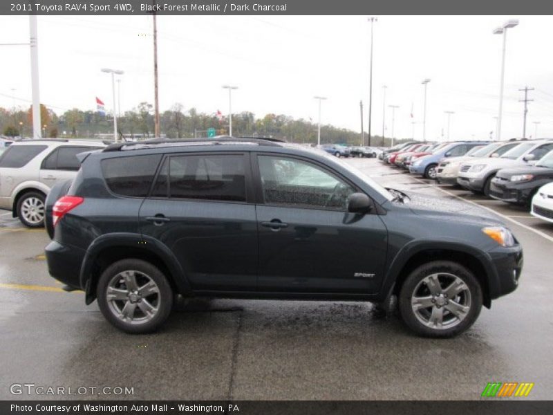 Black Forest Metallic / Dark Charcoal 2011 Toyota RAV4 Sport 4WD