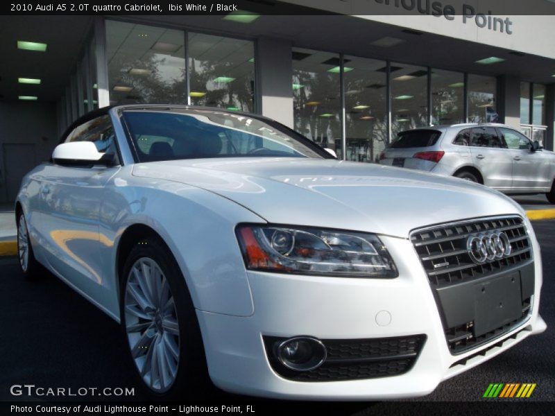 Ibis White / Black 2010 Audi A5 2.0T quattro Cabriolet