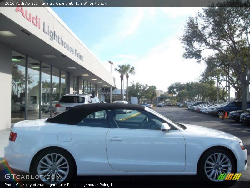 Ibis White / Black 2010 Audi A5 2.0T quattro Cabriolet