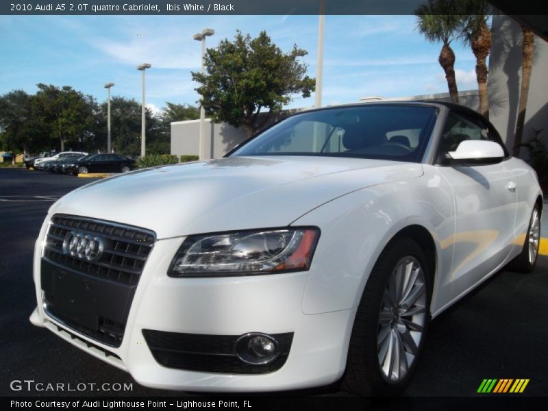 Ibis White / Black 2010 Audi A5 2.0T quattro Cabriolet