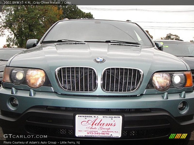 Gray Green Metallic / Grey 2002 BMW X5 4.4i