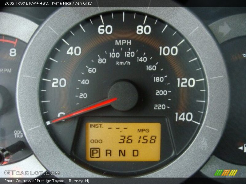 Pyrite Mica / Ash Gray 2009 Toyota RAV4 4WD