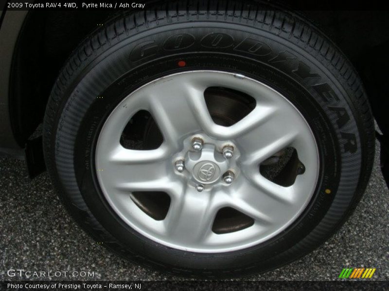 Pyrite Mica / Ash Gray 2009 Toyota RAV4 4WD