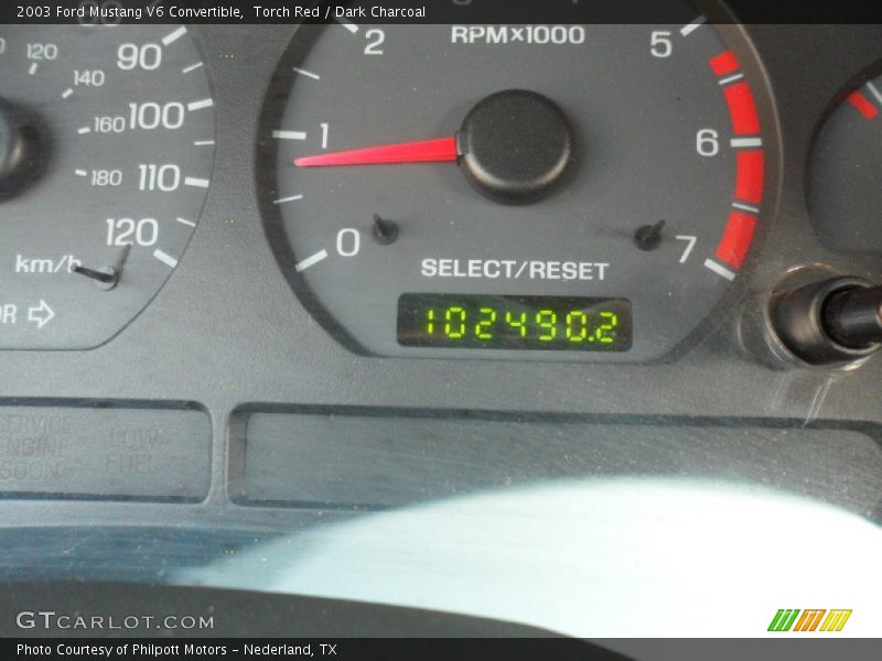 Torch Red / Dark Charcoal 2003 Ford Mustang V6 Convertible