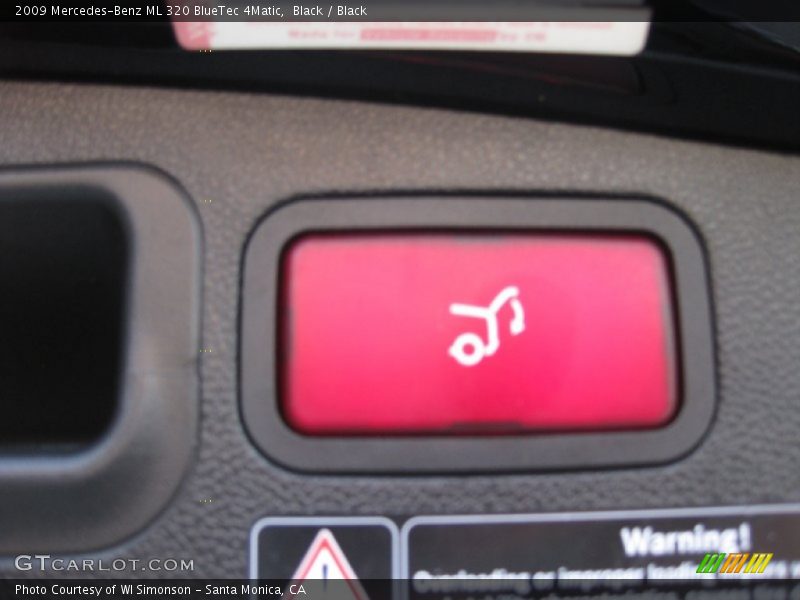 Black / Black 2009 Mercedes-Benz ML 320 BlueTec 4Matic