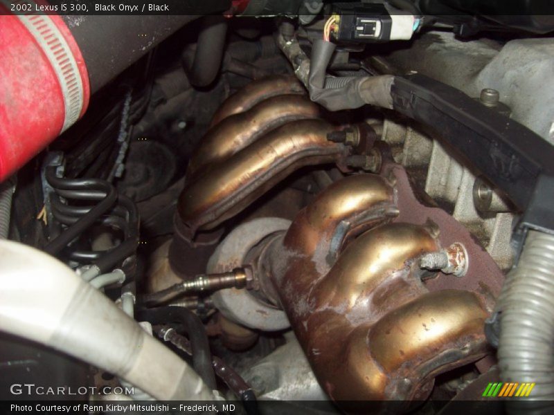 Black Onyx / Black 2002 Lexus IS 300