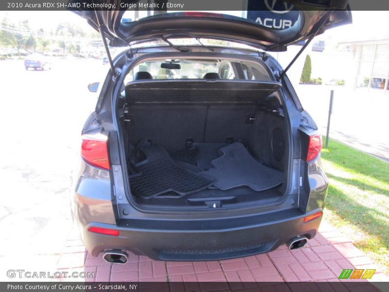 Grigio Metallic / Ebony 2010 Acura RDX SH-AWD Technology
