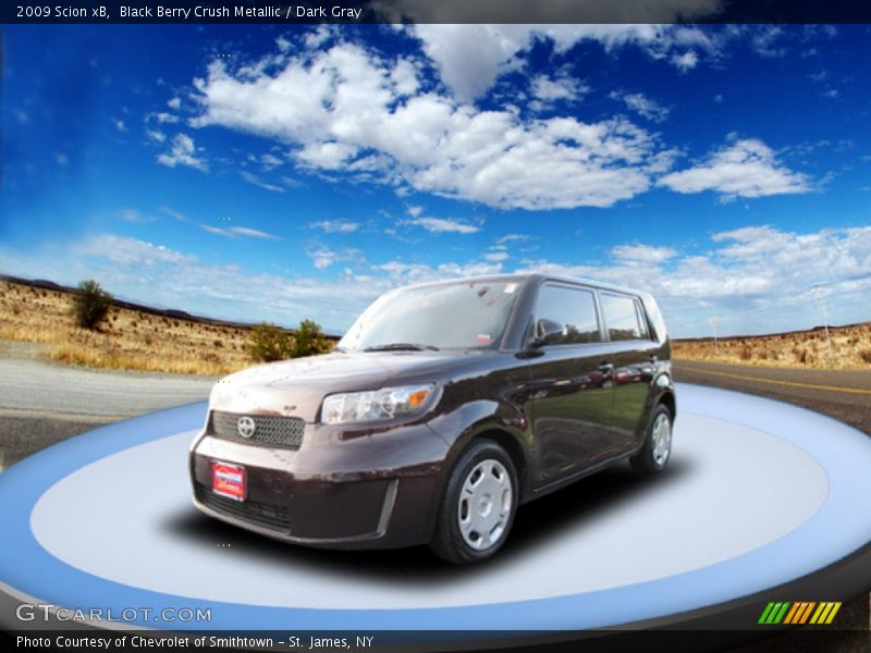 Black Berry Crush Metallic / Dark Gray 2009 Scion xB