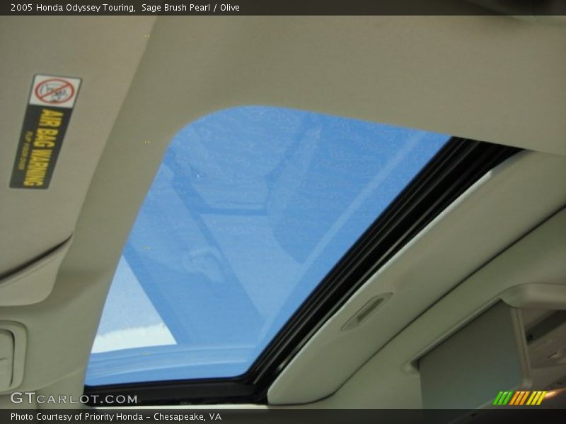 Sage Brush Pearl / Olive 2005 Honda Odyssey Touring