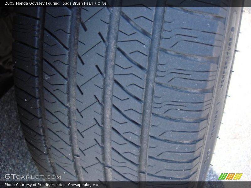 Sage Brush Pearl / Olive 2005 Honda Odyssey Touring