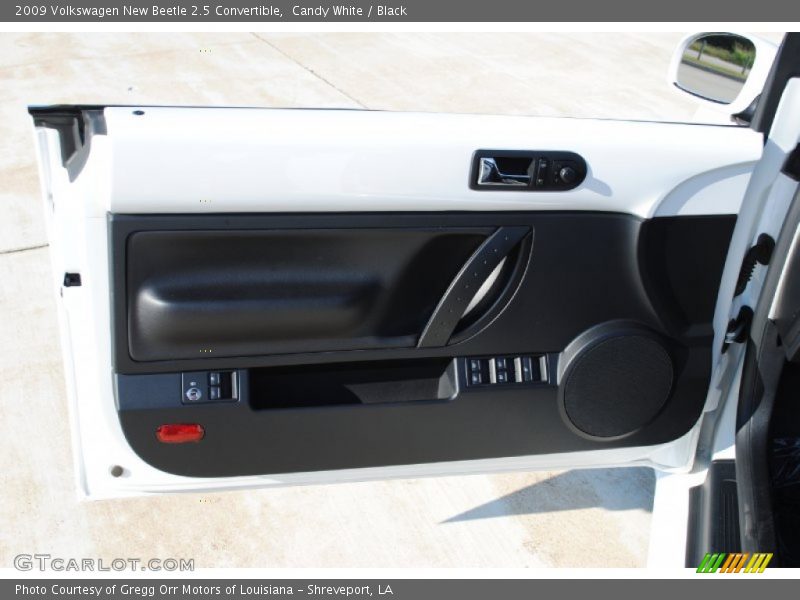 Door Panel of 2009 New Beetle 2.5 Convertible