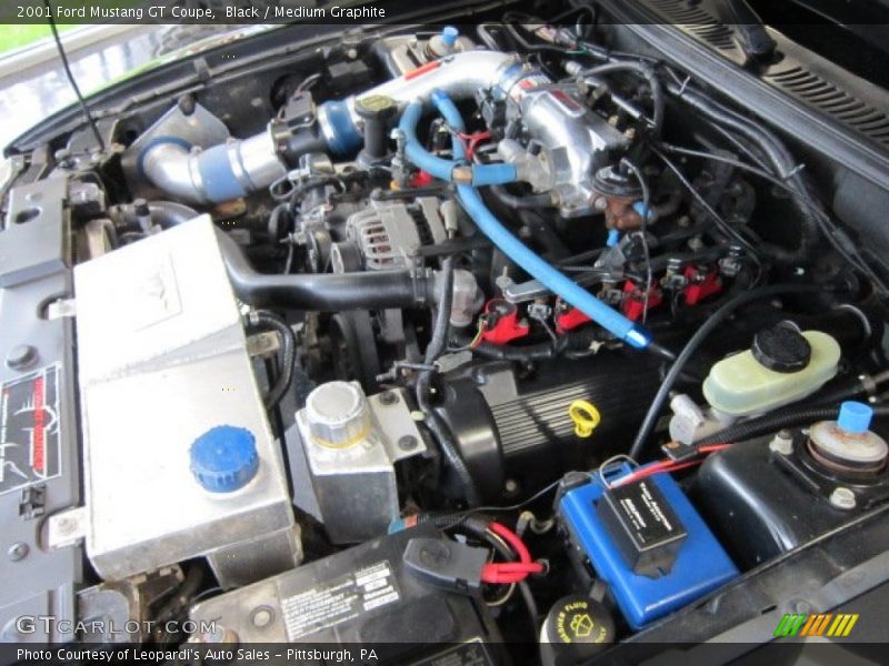 Black / Medium Graphite 2001 Ford Mustang GT Coupe