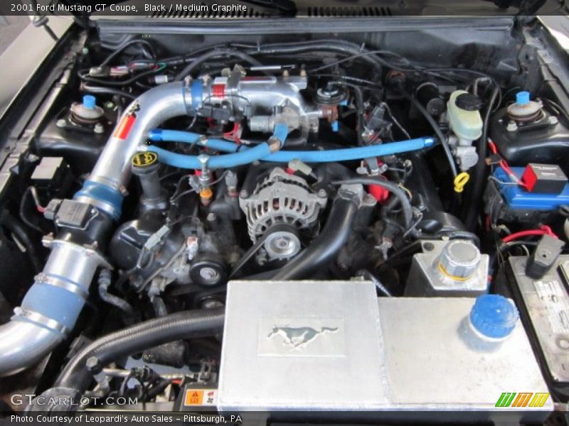 Black / Medium Graphite 2001 Ford Mustang GT Coupe
