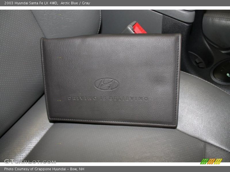 Arctic Blue / Gray 2003 Hyundai Santa Fe LX 4WD
