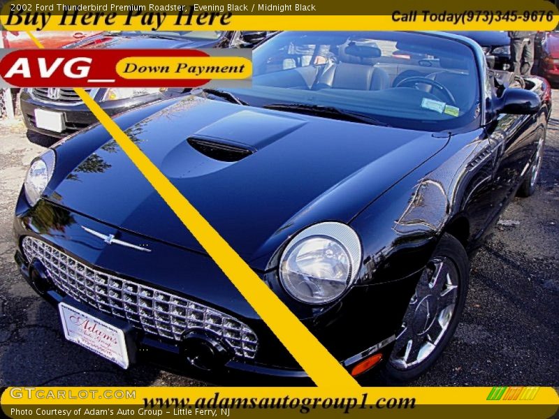 Evening Black / Midnight Black 2002 Ford Thunderbird Premium Roadster