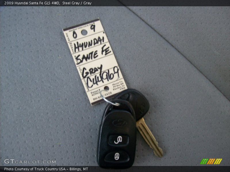 Steel Gray / Gray 2009 Hyundai Santa Fe GLS 4WD