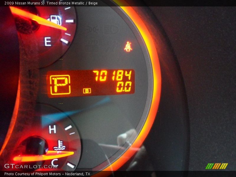 Tinted Bronze Metallic / Beige 2009 Nissan Murano S