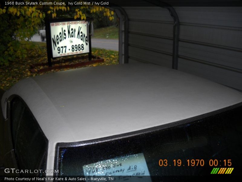 Ivy Gold Mist / Ivy Gold 1968 Buick Skylark Custom Coupe