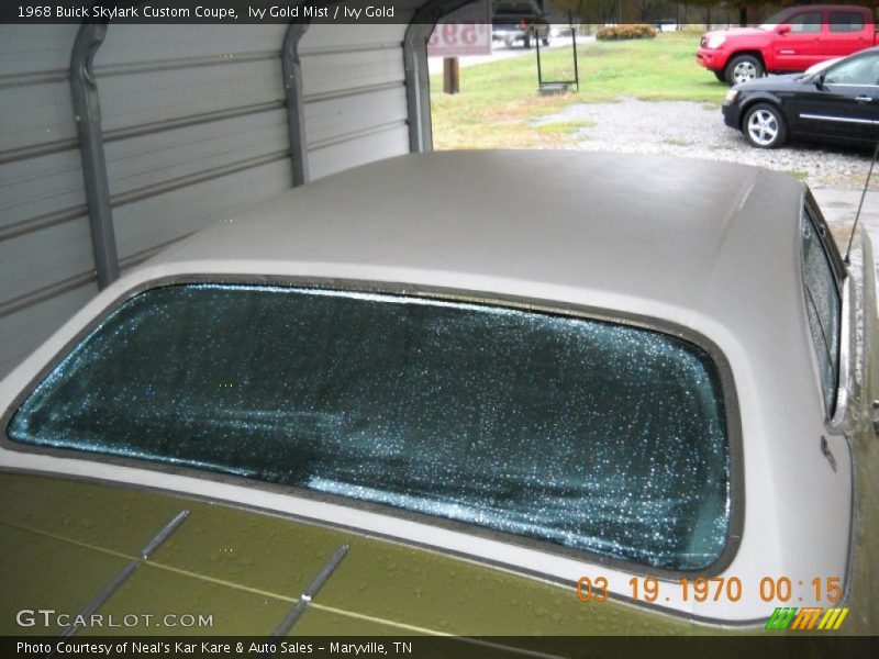 Ivy Gold Mist / Ivy Gold 1968 Buick Skylark Custom Coupe