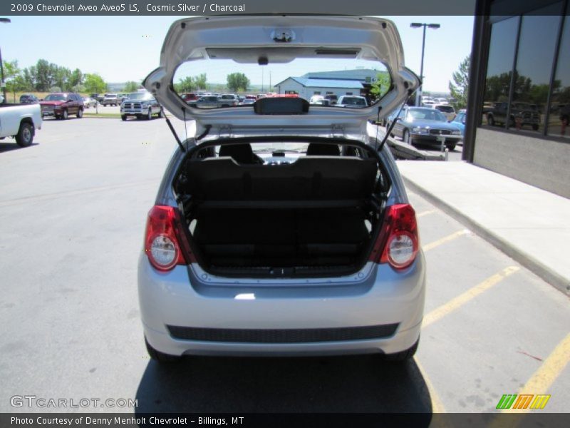 Cosmic Silver / Charcoal 2009 Chevrolet Aveo Aveo5 LS
