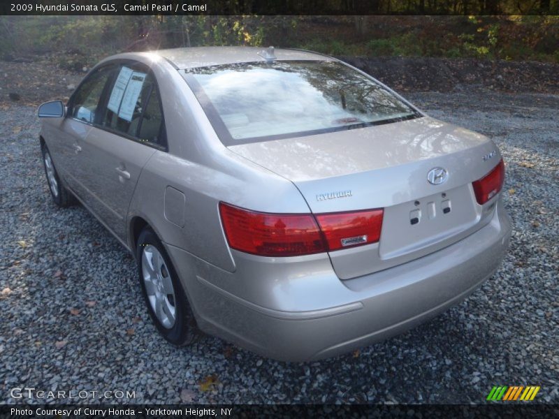 Camel Pearl / Camel 2009 Hyundai Sonata GLS