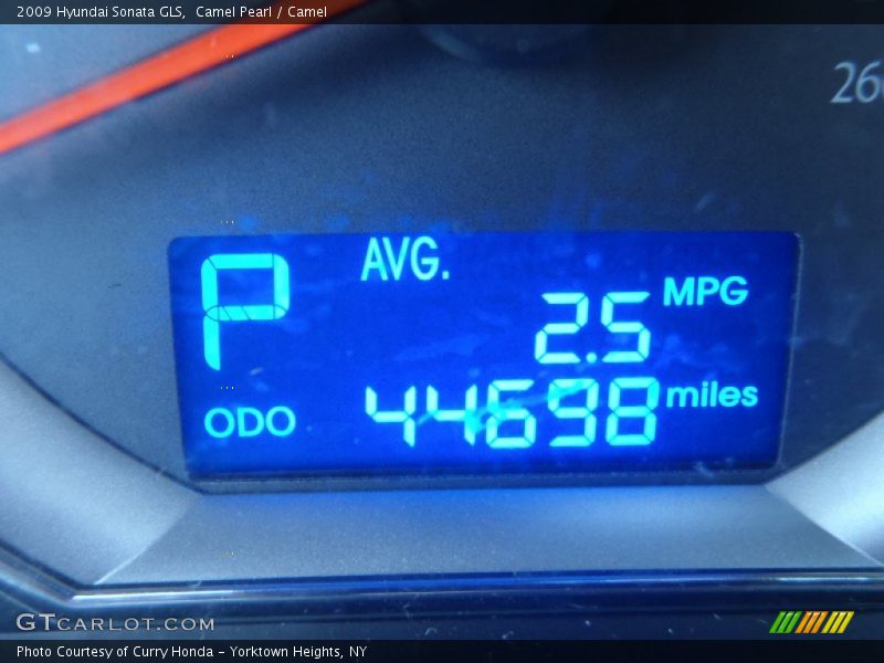 Camel Pearl / Camel 2009 Hyundai Sonata GLS