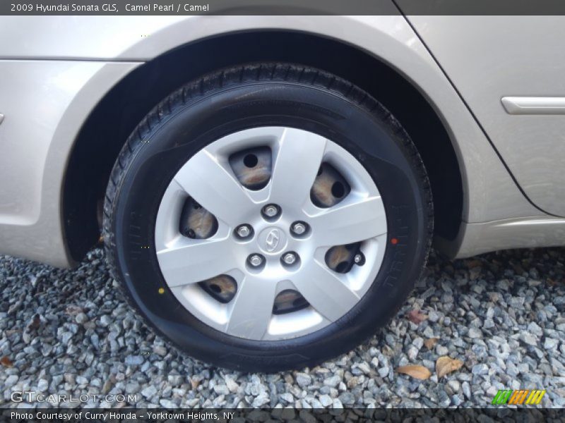 Camel Pearl / Camel 2009 Hyundai Sonata GLS
