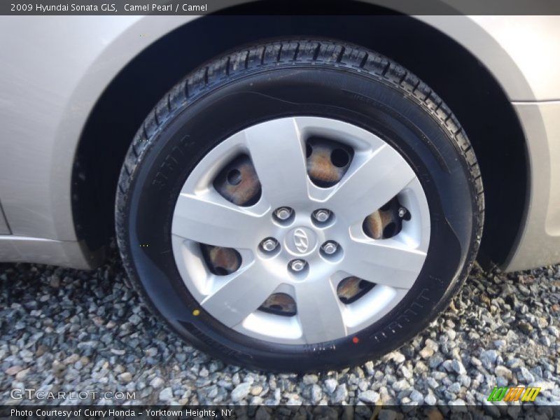 Camel Pearl / Camel 2009 Hyundai Sonata GLS