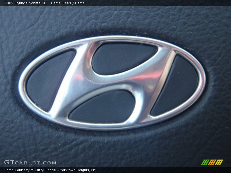 Camel Pearl / Camel 2009 Hyundai Sonata GLS