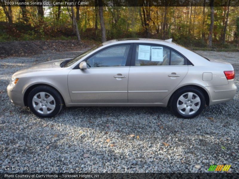 Camel Pearl / Camel 2009 Hyundai Sonata GLS