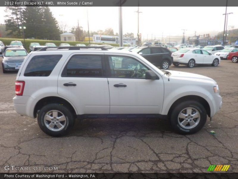 White Suede / Camel 2012 Ford Escape XLT 4WD