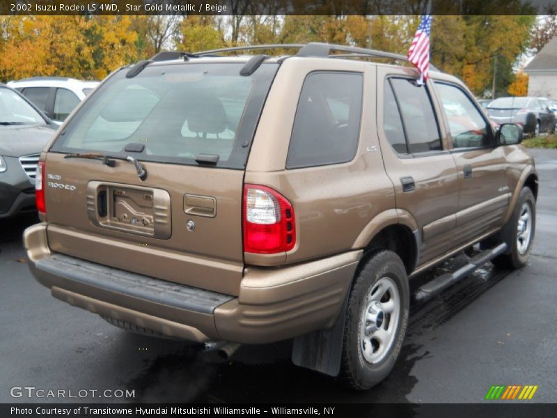  2002 Rodeo LS 4WD Star Gold Metallic