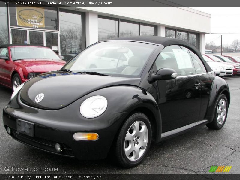 Black / Cream 2003 Volkswagen New Beetle GLS Convertible