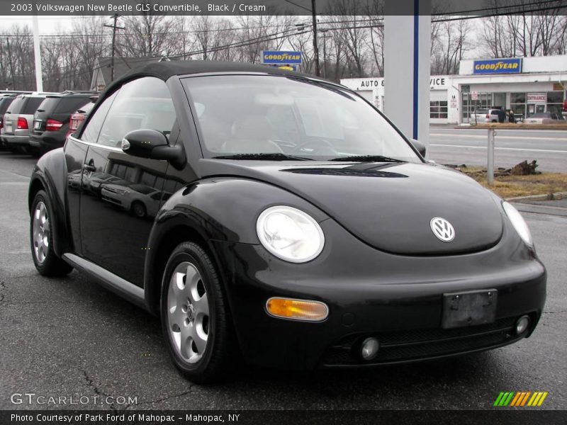 Black / Cream 2003 Volkswagen New Beetle GLS Convertible