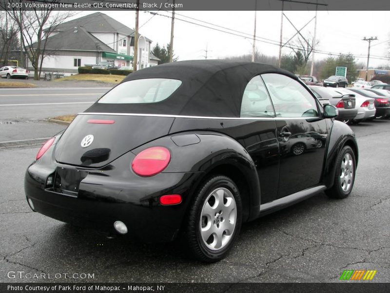 Black / Cream 2003 Volkswagen New Beetle GLS Convertible